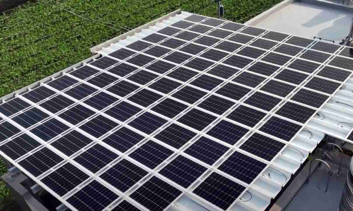 z6尊龙SunSteel光电浪板升级双玻结构，，，以提升机械负载强度及气候耐候度，，，可广泛运用于多元场域